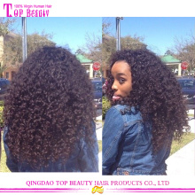 High quality 5a grade afro curly brazilian expensive human hair wigs